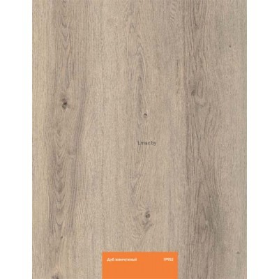 Ламинат Кастамону Оранж FP952 Дуб Жемчужный