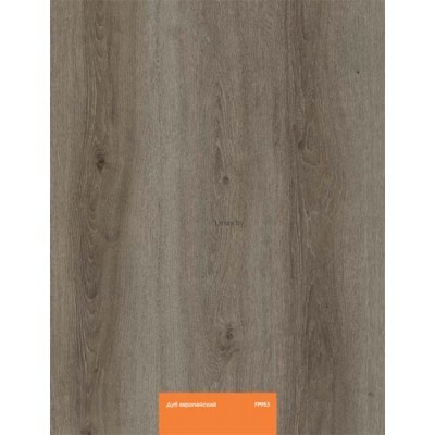 Ламинат Кастамону Оранж FP953 Дуб Европейский